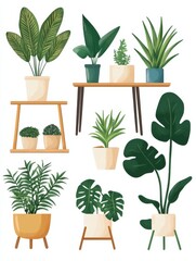 Obraz premium Green home decoration vector set. Scandinavian hygge style interior with furniture. Home plants in flower pot. Flat vector cartoon illustration isolated on white background.