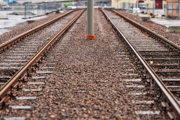 Fototapeta premium Newly constructed straight tram tracks.