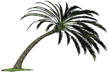 Obraz premium A photograph of a rectangular wooden garden bed filled with a variety of plants and vegetables. The bed is made of weathered, grayish-brown wood with a rustic appearance. The plants include leafy gree