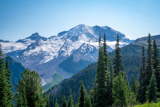 Mount Rainier Washington State National Park