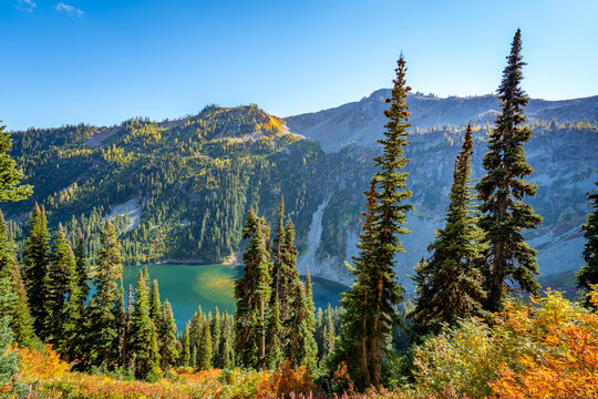 Fall in North Cascades National Park Maple Pass