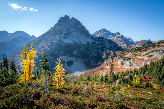 Fall in North Cascades National Park Maple Pass