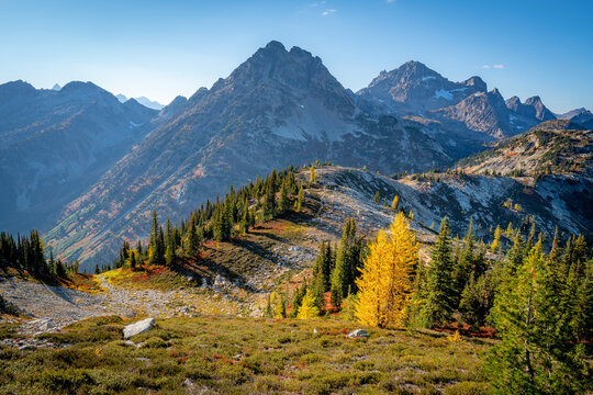 Fall in North Cascades National Park Maple Pass