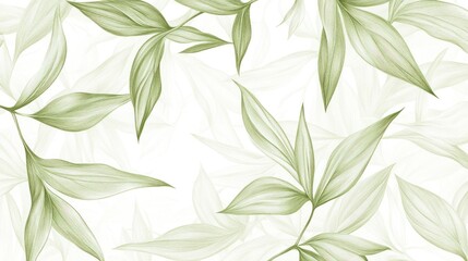 Sage green leaves pattern, white background, botanical illustration, design element