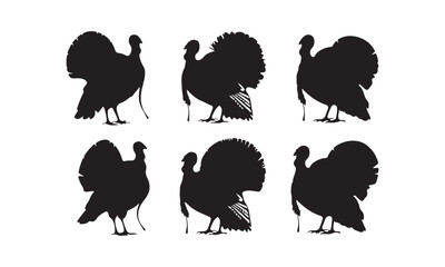 Turkey Vector Silhouettes - Detailed Turkey Bird Illustrations for Creative Projects