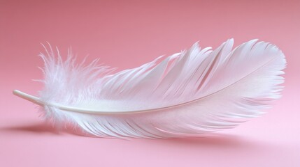 Obraz premium Soft white feather resting on a pink background, symbolizing lightness