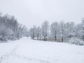 Landscape of South Park in city of Sofia, Bulgaria