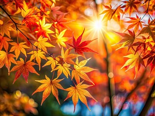 Fototapeta premium Autumn Maple Leaves Kyushu Japan Tilt-Shift Macro