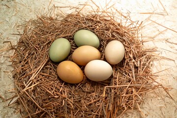 Straw nest with free-range chicken eggs