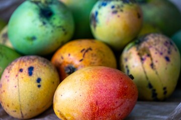 Rustic ripe country mangoes