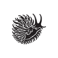 Black Color Nudibranch silhouette design Vector Illustration, Solid White Background (17).eps