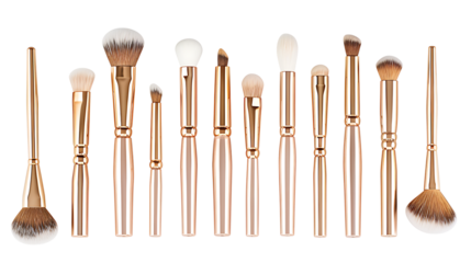 A set of makeup brushes in various sizes and styles, isolated on a white background