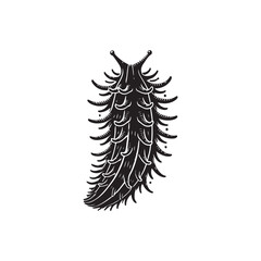 Black Color Sea Cucumber silhouette design Vector Illustration, Solid White Background (2).eps