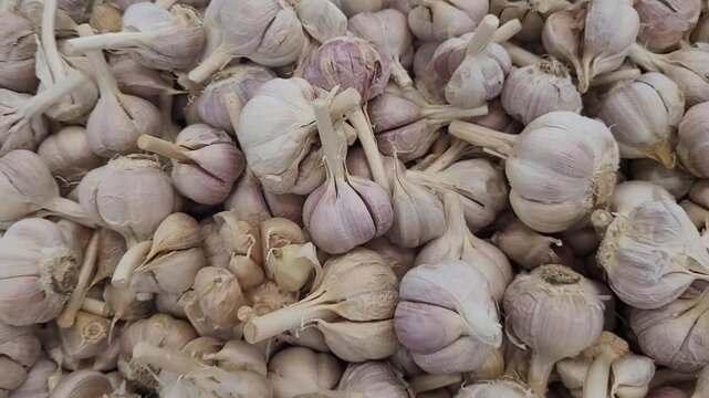 close up of garlic