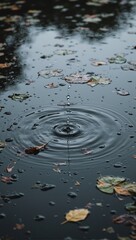 Raindrops forming ripples on puddle with floating leaves