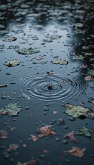 Raindrops forming ripples on puddle with floating leaves