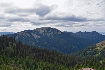 Obraz premium Hurricane Ridge Olympic National Park views from hiking trails by Port Angeles Washington USA