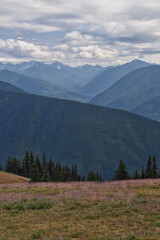 Fototapeta premium Hurricane Ridge Olympic National Park views from hiking trails by Port Angeles Washington USA