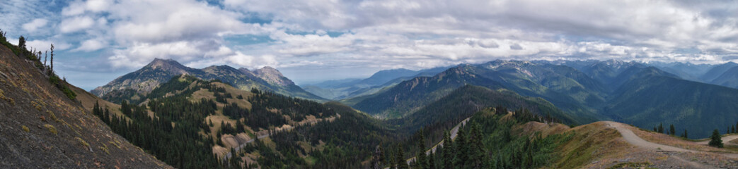 Hurricane Ridge Olympic National Park views from hiking trails by Port Angeles Washington USA