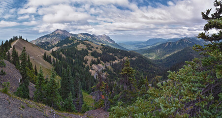 Hurricane Ridge Olympic National Park views from hiking trails by Port Angeles Washington USA