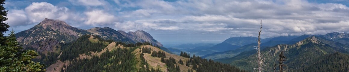 Fototapeta premium Hurricane Ridge Olympic National Park views from hiking trails by Port Angeles Washington USA