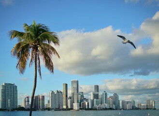 View of the Miami skyline at sunset from Biscayne Bay. Miami, Florida, USA.