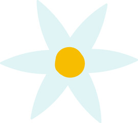 Daisy Spring Flower Head