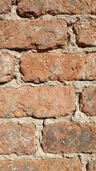 Fototapeta premium Rough reddish brown brick close up with visible mortar