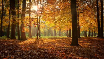 rustling leaves in quiet autumn forest