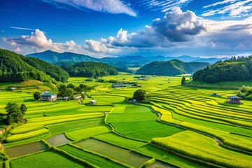 Fototapeta premium Serene Japanese Rice Paddies: Panoramic View of Lush Green Fields Under a Blue Sky