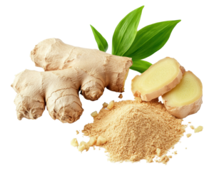 Fresh ginger root, sliced ginger, and ginger powder with green leaves.