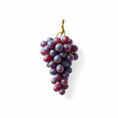 Fototapeta premium Fresh Bunch of Juicy Purple and Green Grapes with Natural Shine on Isolated Background