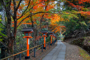 Kuramadera in a beautiful autumn scenery in Kyoto, Japan