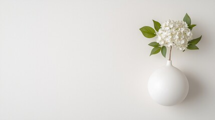 White flower in vase, minimalist home decor