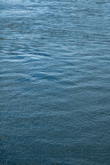 Fototapeta premium Abstract azure water surface with mild waves, vertical