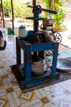 coconut milk pressing vietnam