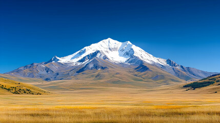 Fototapeta premium Snow-capped mountain peak rises majestically above a vast golden steppe under a clear blue sky.