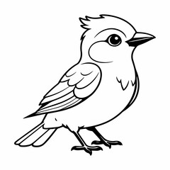 Fototapeta premium bird Coloring Page Illustration