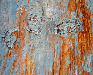 a very natural sharp wood photo from nature