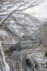 福島県三島町　雪の舞う只見線の風景
