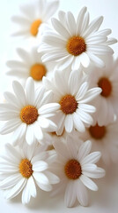 Obraz premium Close-Up of a Bouquet of White Daisies, Realistic Flower Photography