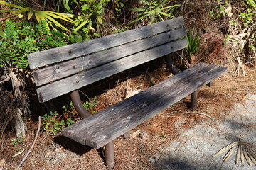 Naklejka premium Wooden park bench along pedestrian walkway with tropical plants