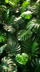 Lush Tropical Paradise: Vibrant Green Monstera & Palm Leaves