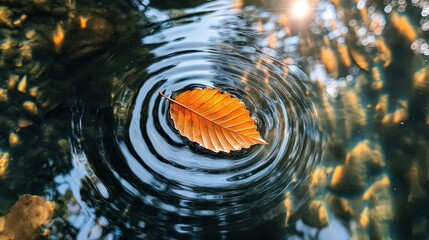 Leaf Floating on Water Surface with Ripples Under Golden Light
