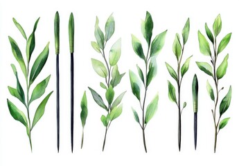 Fototapeta premium A set of green leaves with a black tip