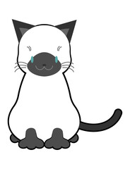 かわいいシャムのお座り猫