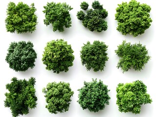Obraz premium Aerial nature photography diverse green plant varieties collection