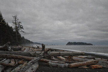 Rialto Beach beach and ocean island views at dusk in Olympic National Park, Washington State, USA. 