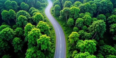 A winding road through a lush green forest