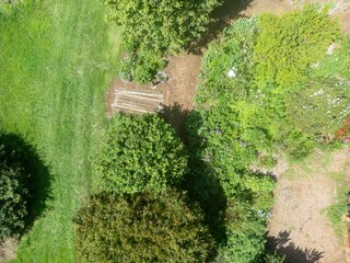 Aerial view of vibrant, lush green gardens